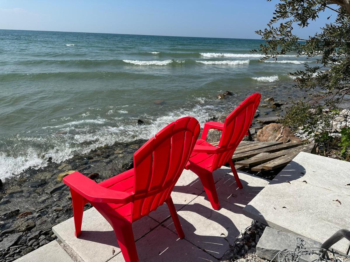 The Wind In The Willows - Luxury Lakefront Oasis Bed and Breakfast Cobourg Exteriör bild