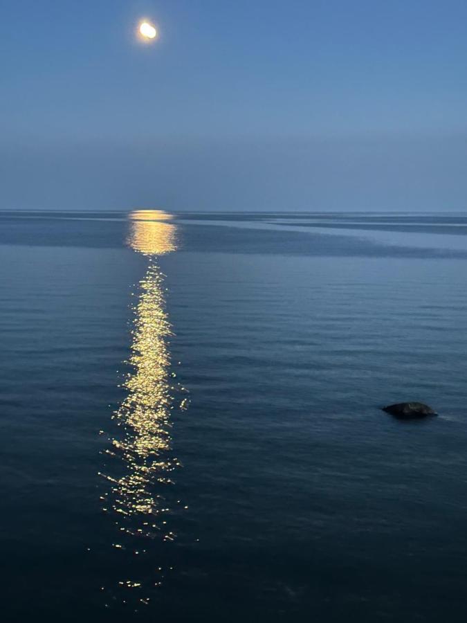 The Wind In The Willows - Luxury Lakefront Oasis Bed and Breakfast Cobourg Exteriör bild